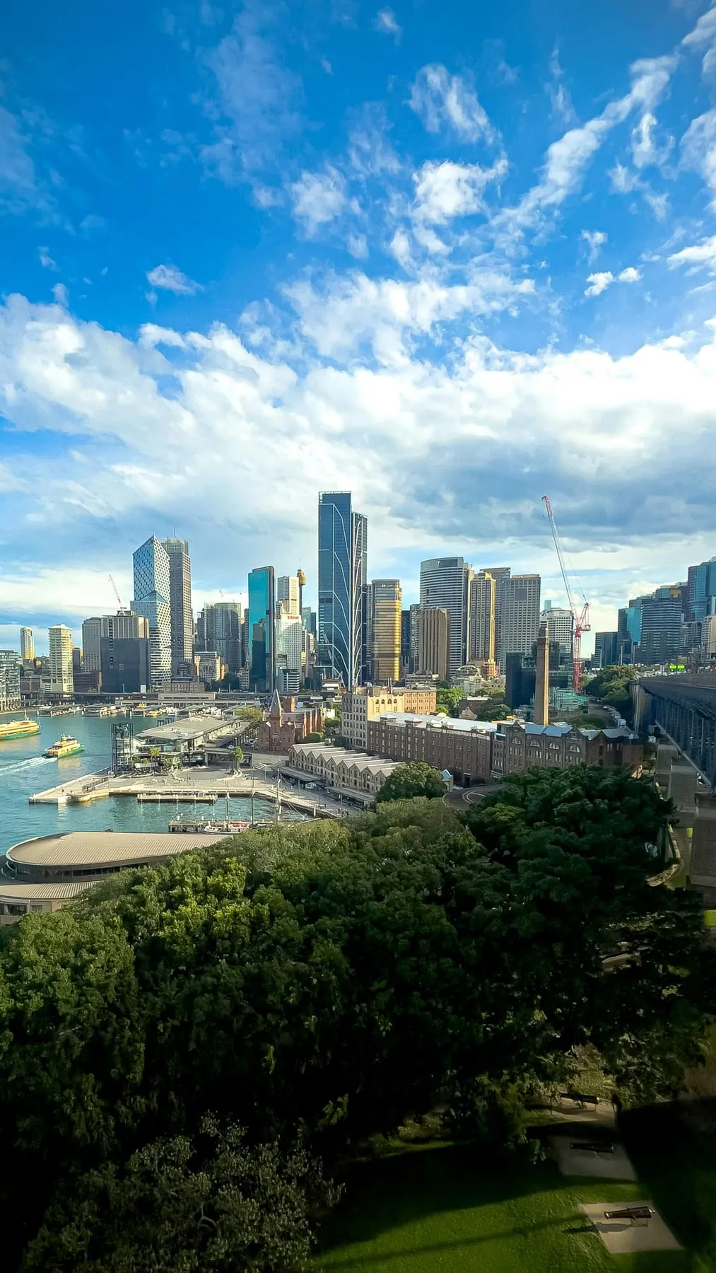 A park and commercial towers in Sydney, New South Wales
